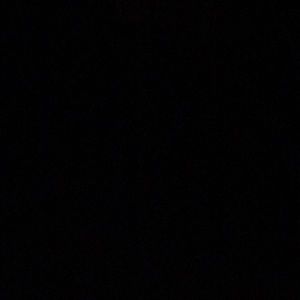 Meet your Posher, Riley